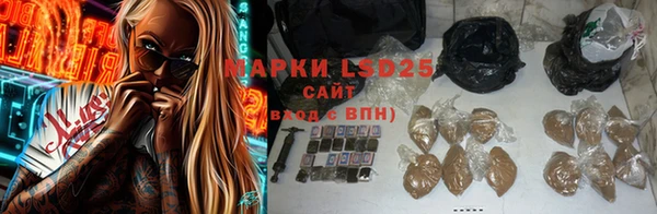 PSILOCYBIN Абинск